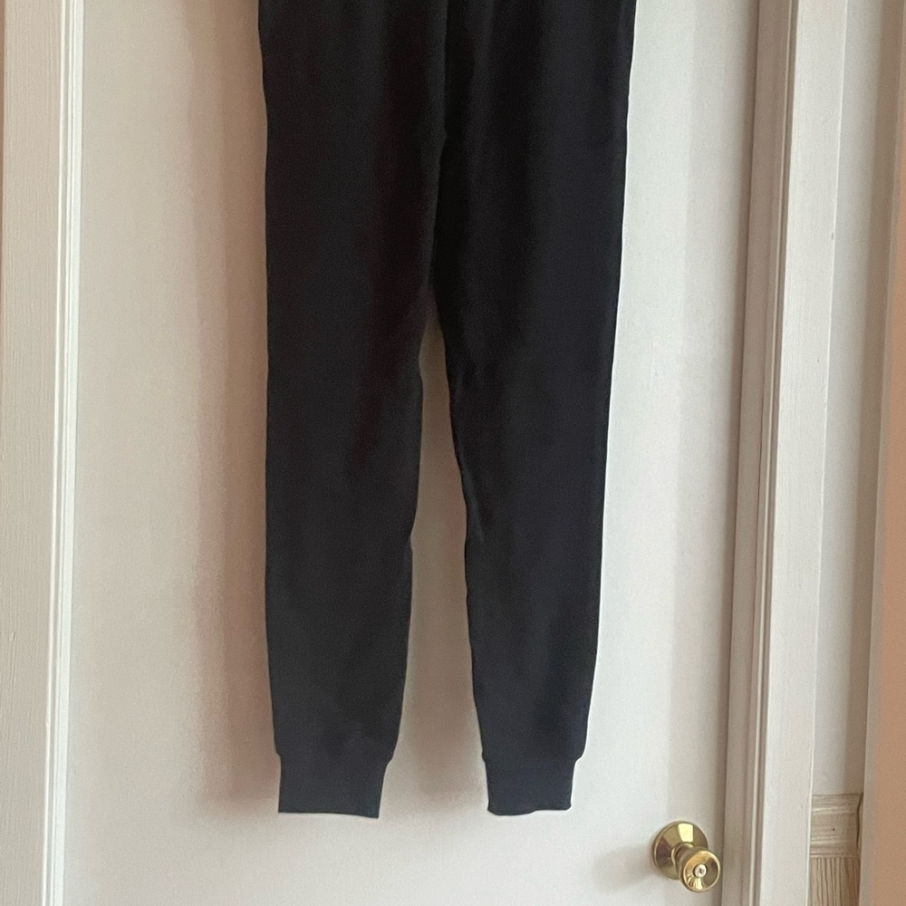 Patagonia organic cotton jogger sweatpants